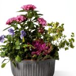 Gardening eBook by Artisan - Pictorial Gardening for Beginners-0