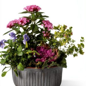 Gardening eBook by Artisan - Pictorial Gardening for Beginners-0