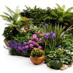 The First-Time Gardener's Guide to Ornamental Plants by Cool Springs-0