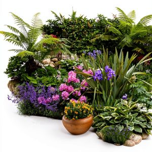 The First-Time Gardener's Guide to Ornamental Plants by Cool Springs-0