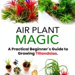 Ornamental Plant Gardening Kindle eBook GreenThumb 300‑Page Guide-0
